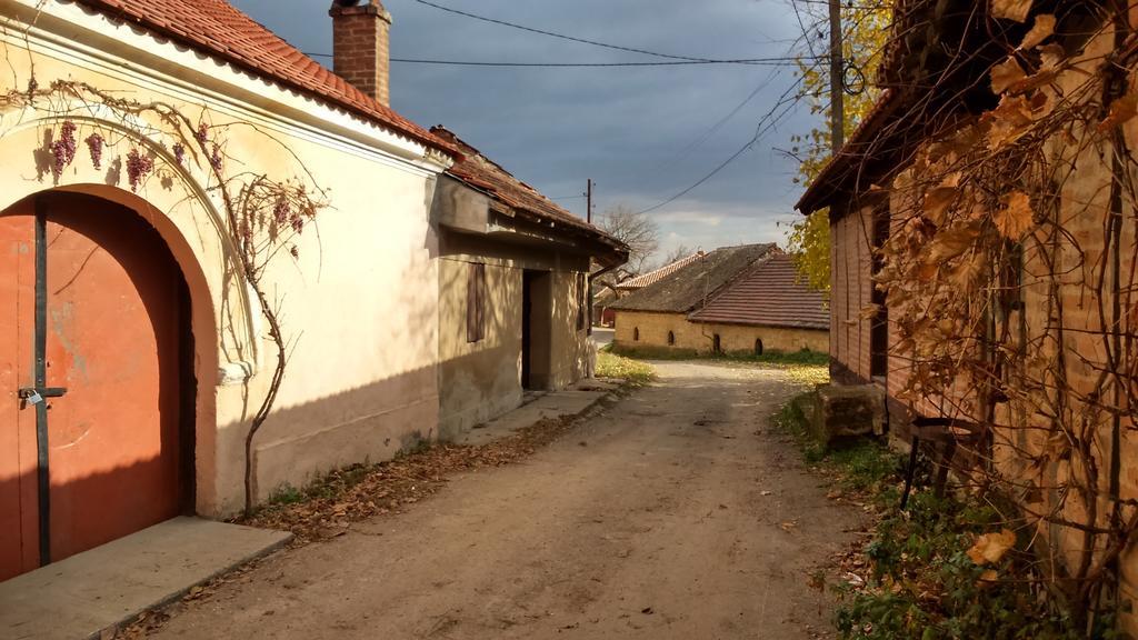 Country House Dunjin Konak Rogljevo Ngoại thất bức ảnh