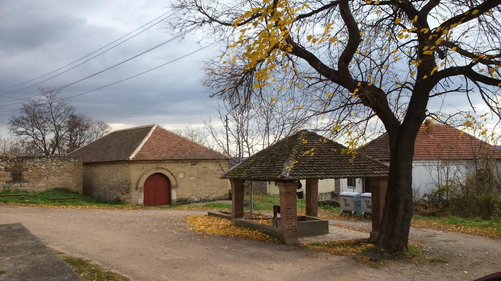 Country House Dunjin Konak Rogljevo Ngoại thất bức ảnh