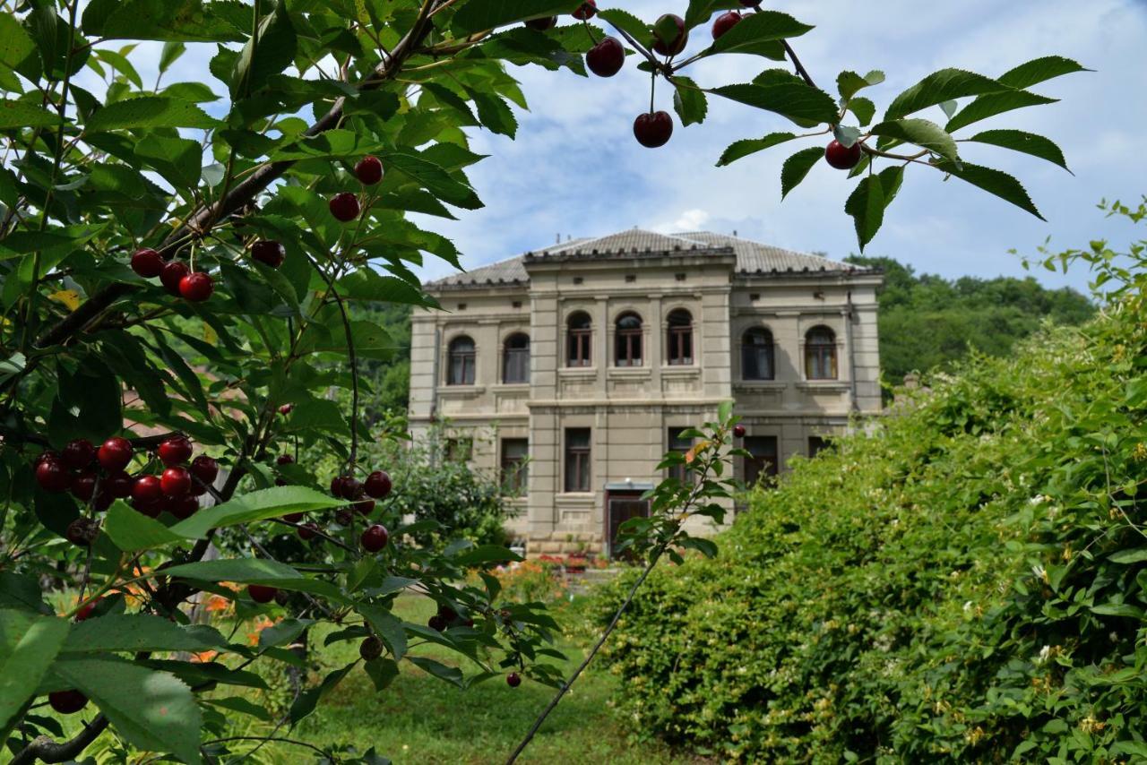 Country House Dunjin Konak Rogljevo Ngoại thất bức ảnh