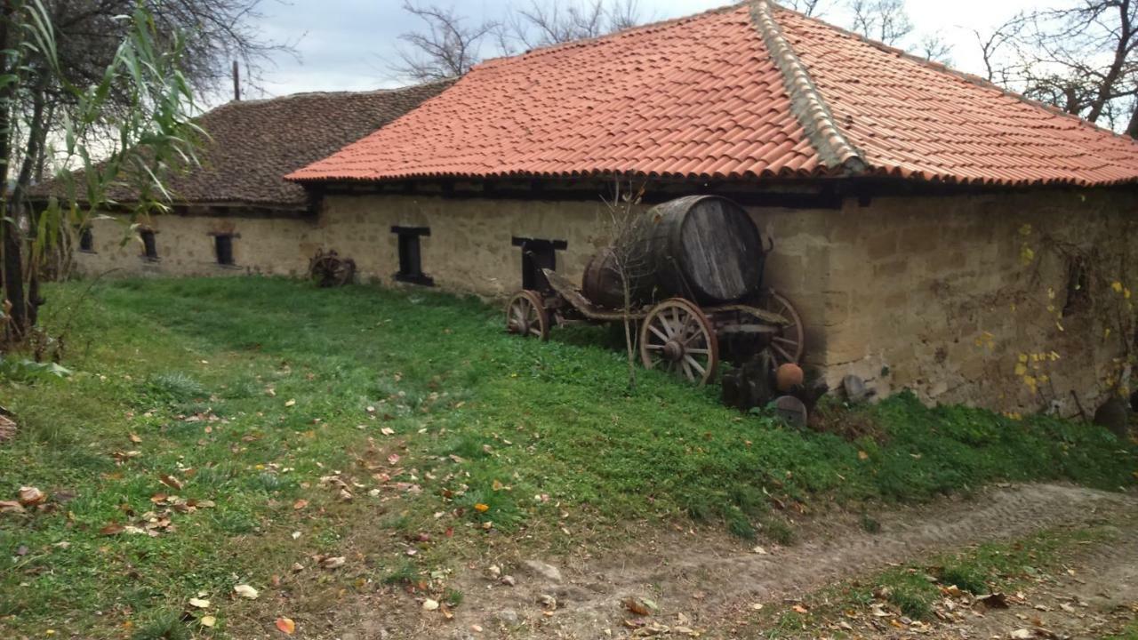 Country House Dunjin Konak Rogljevo Ngoại thất bức ảnh