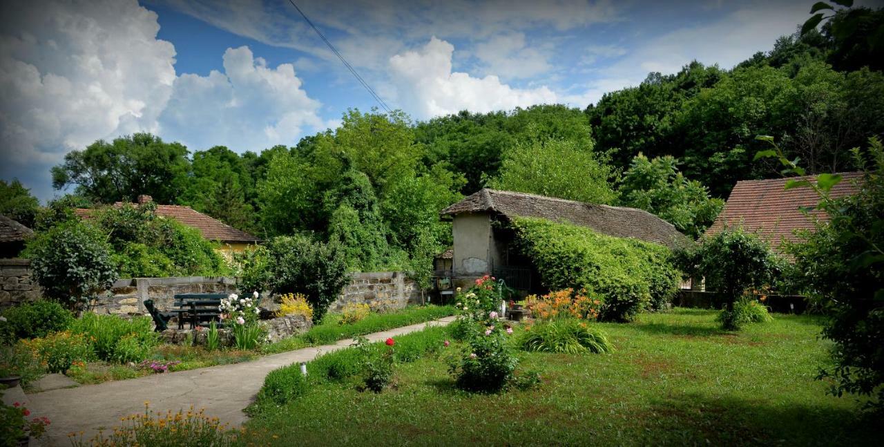 Country House Dunjin Konak Rogljevo Ngoại thất bức ảnh